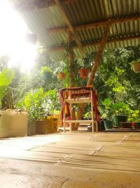 Chairs and table against trees