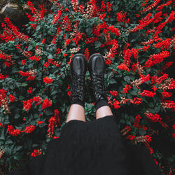 Low section of woman standing by autumn leaves