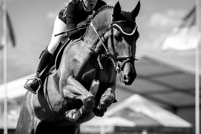 Man riding horse