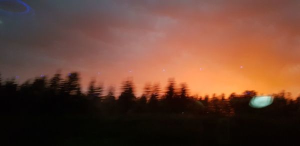 Silhouette trees against sky at night