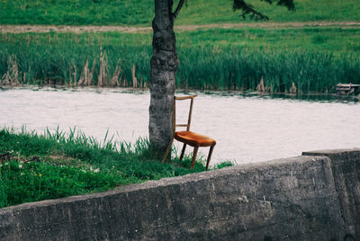 Chair on tree trunk