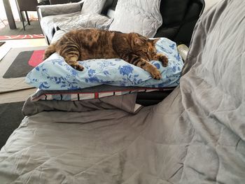 High angle view of man sleeping on bed