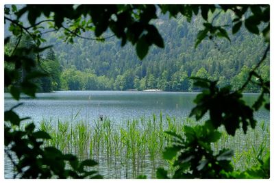 Scenic view of lake