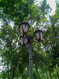 Low angle view of street light against trees