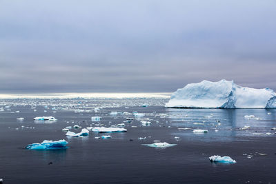 Icebergs in antarctica continent