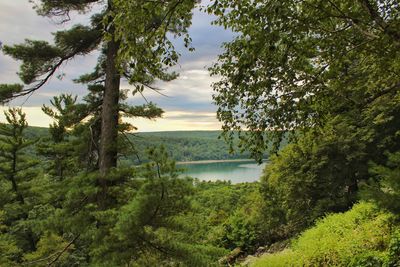 Scenic view of lake in forest against sky