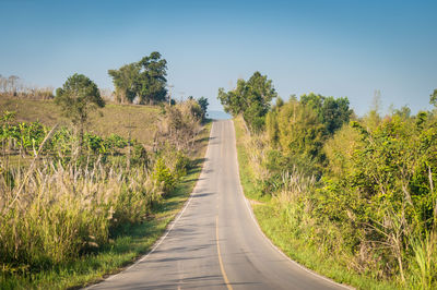 Road amidst trees against clear sky