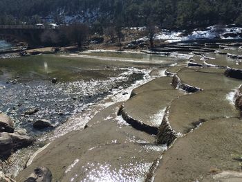 High angle view of river amidst trees