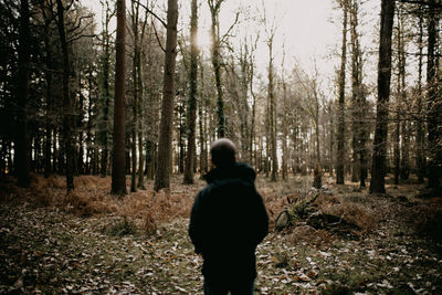 Rear view of man standing in forest