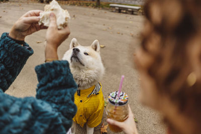 Senior woman holding sandwich with dog sitting on footpath