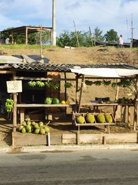 View of greenhouse