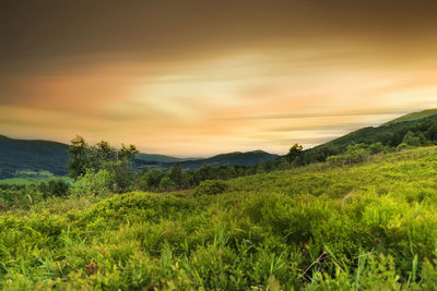 Scenic view of field against sky during sunset