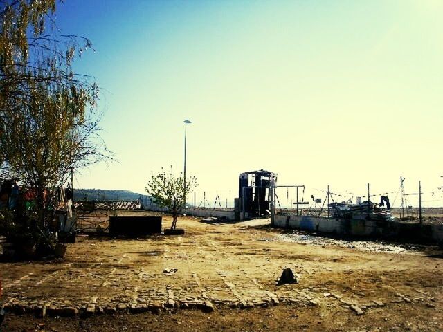 clear sky, built structure, architecture, building exterior, copy space, street light, bird, house, sunlight, outdoors, day, sky, nature, no people, animal themes, tree, blue, low angle view, incidental people, tranquility