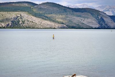 Athabasca river in june, in summer the river gets really shallow.