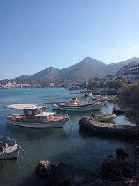 Sailboats moored in sea against clear sky