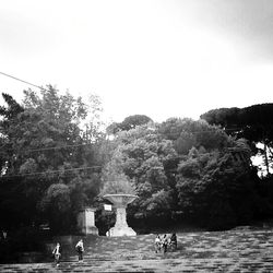 Tourists on tree trunk