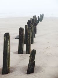 Row of wooden post on sand at beach