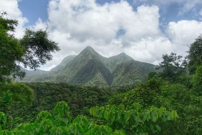 View of trees on landscape against cloudy sky