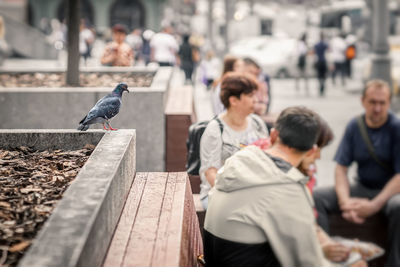 Group of people looking at birds