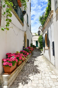 A narrow street among the old houses in the historic center of otranto, a town in puglia in italy.