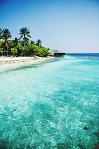 Scenic view of sea against blue sky