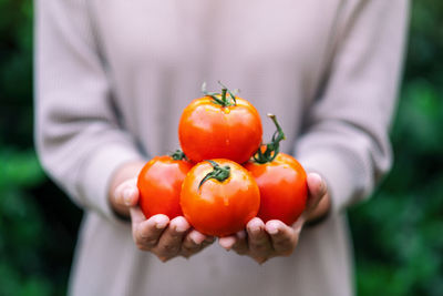 Close-up of hand holding orange fruit