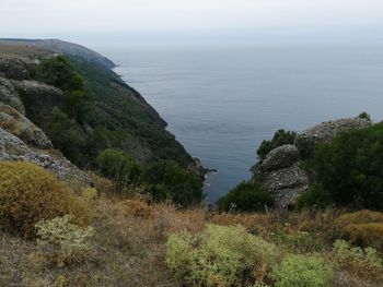 Scenic view of sea against sky