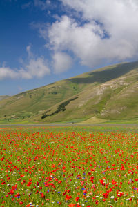 Scenic view of grassy field against cloudy sky