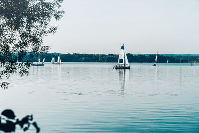 Sailboat floating on sea against clear sky