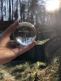 Cropped hand holding crystal ball