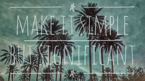 Digital composite image of palm trees against wall