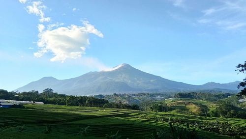 Scenic view of landscape against sky