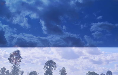 Low angle view of trees against cloudy sky