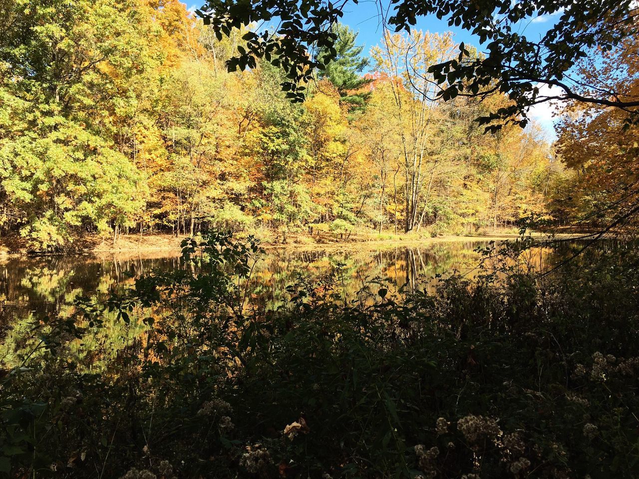 Hogback Rd Nature Preserve