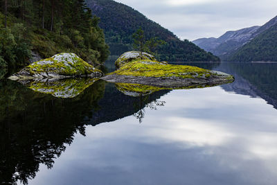 Reflection of tree on lake against sky