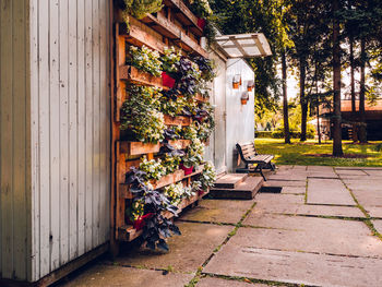 Vertical gardening in riga 