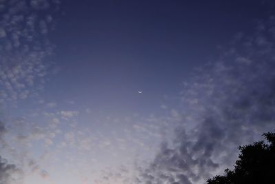 Low angle view of silhouette trees against sky