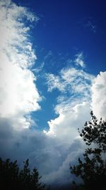 Low angle view of trees against cloudy sky