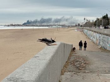 Walking along the river embankment, a crow on the background of smoke from a fire.