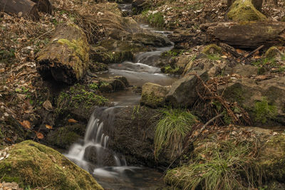 Scenic view of waterfall in forest