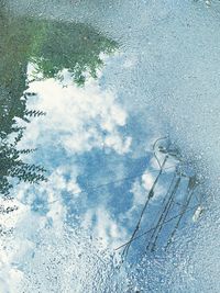 Reflection of trees in puddle on snow