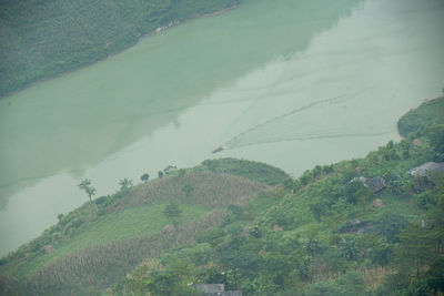 High angle view of trees on landscape against sky