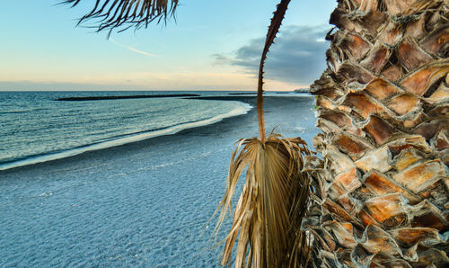 Scenic view of sea against sky at sunset