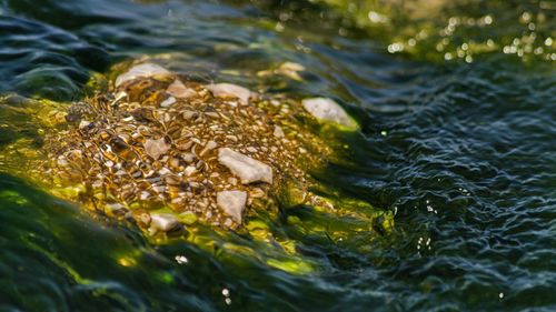 High angle view of rocks in sea