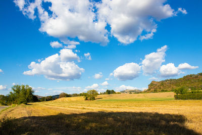 Scenic view of field against sky