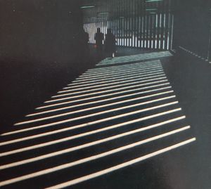 High angle view of zebra crossing on road