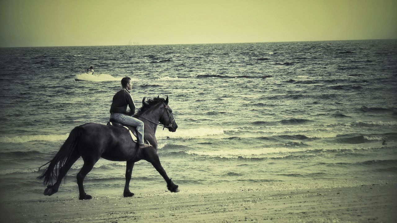 sea, domestic animals, horizon over water, animal themes, dog, mammal, pets, one animal, water, beach, full length, sunset, silhouette, nature, tranquil scene, horse, shore, beauty in nature, clear sky, tranquility