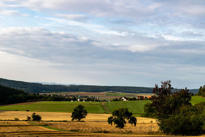 Scenic view of agricultural field against sky