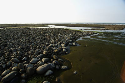 Scenic view of shore against clear sky