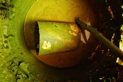 Close-up of fruit on tree